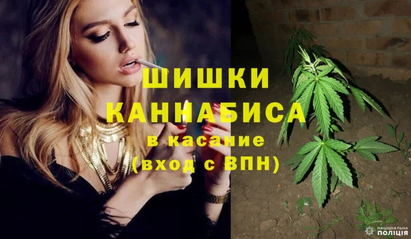 дживик Нягань
