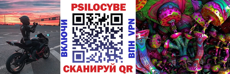 Псилоцибиновые грибы мухоморы  купить наркотик  Хадыженск 